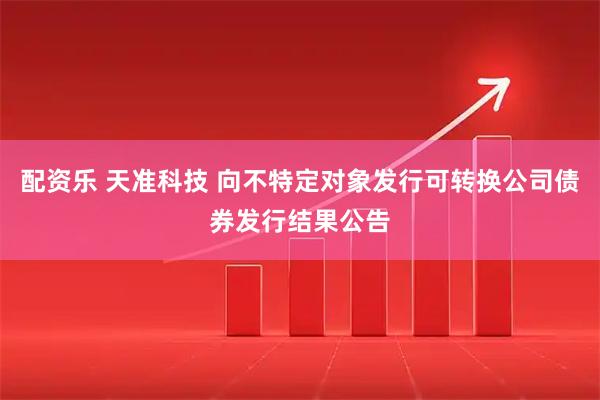 配资乐 天准科技 向不特定对象发行可转换公司债券发行结果公告